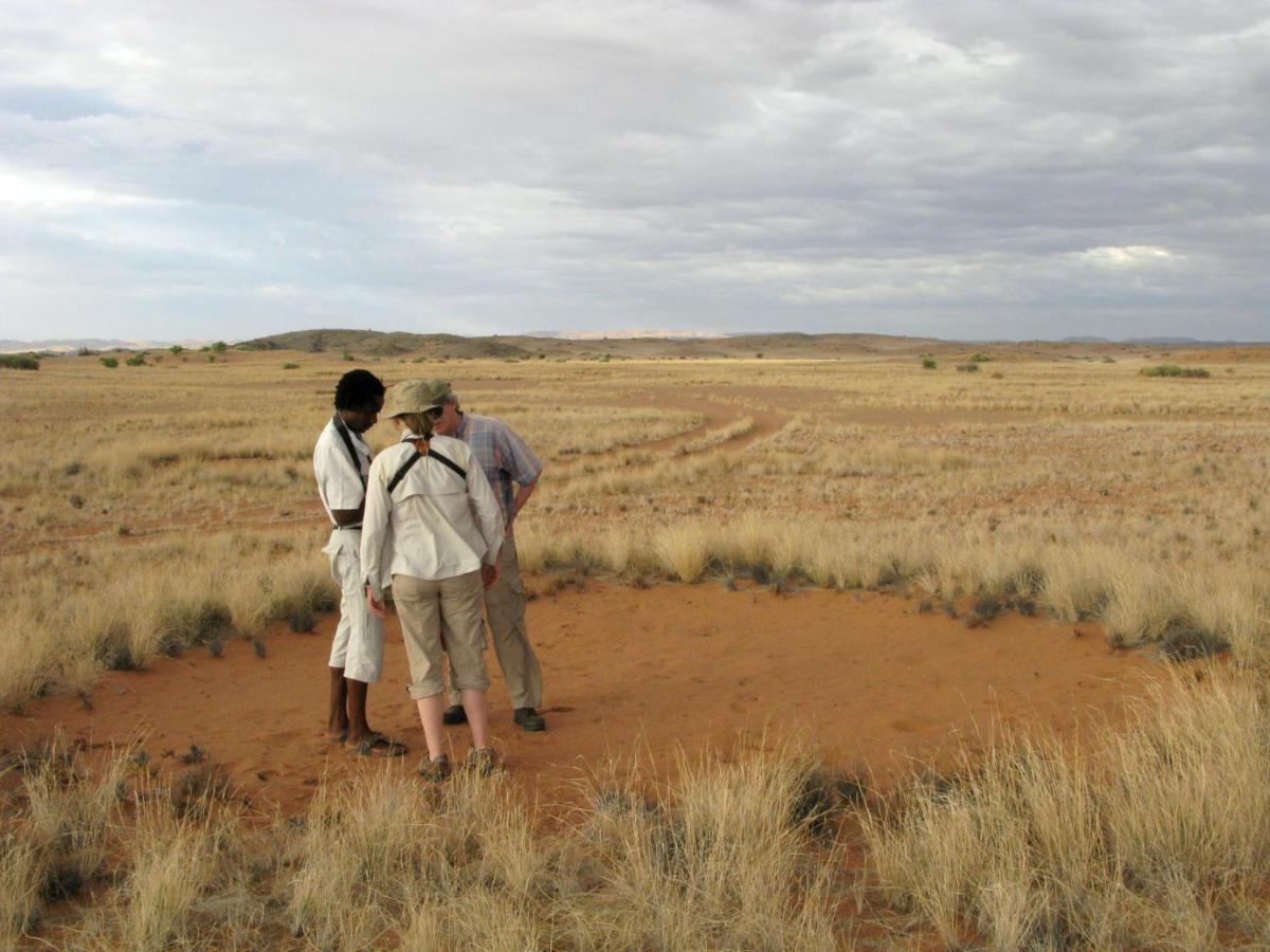 Wilderness Safaris Doro Nawas Villa Twyfelfontein Dış mekan fotoğraf